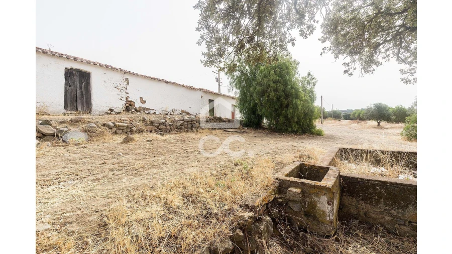 Quinta T4 para Venda em Serpa (Salvador e Santa Maria) Foto 15