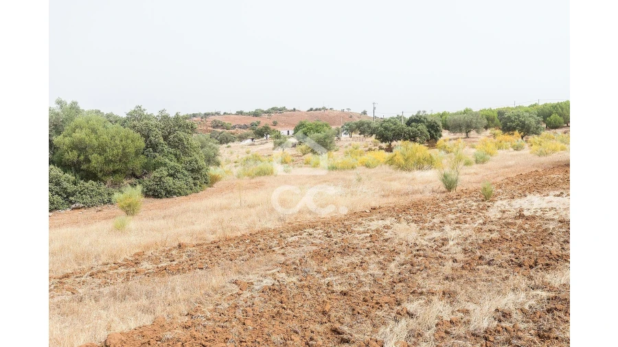 Quinta T4 para Venda em Serpa (Salvador e Santa Maria) Foto 45