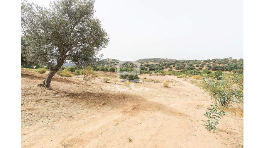 Quinta T4 para Venda em Serpa (Salvador e Santa Maria) Foto 32