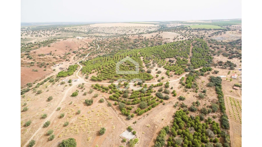 Quinta T4 para Venda em Serpa (Salvador e Santa Maria) Foto 63