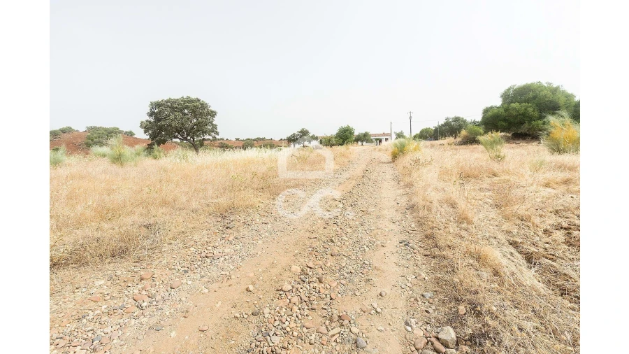 Quinta T4 para Venda em Serpa (Salvador e Santa Maria) Foto 28