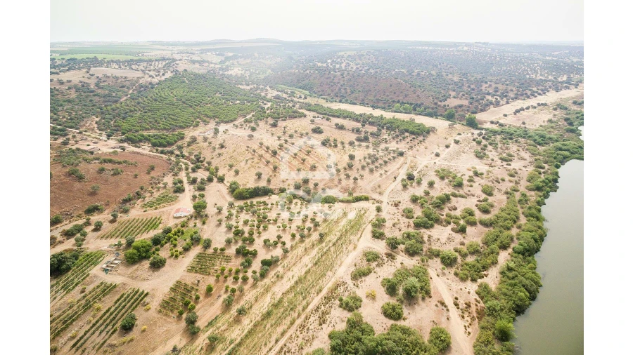 Quinta T4 para Venda em Serpa (Salvador e Santa Maria) Foto 6
