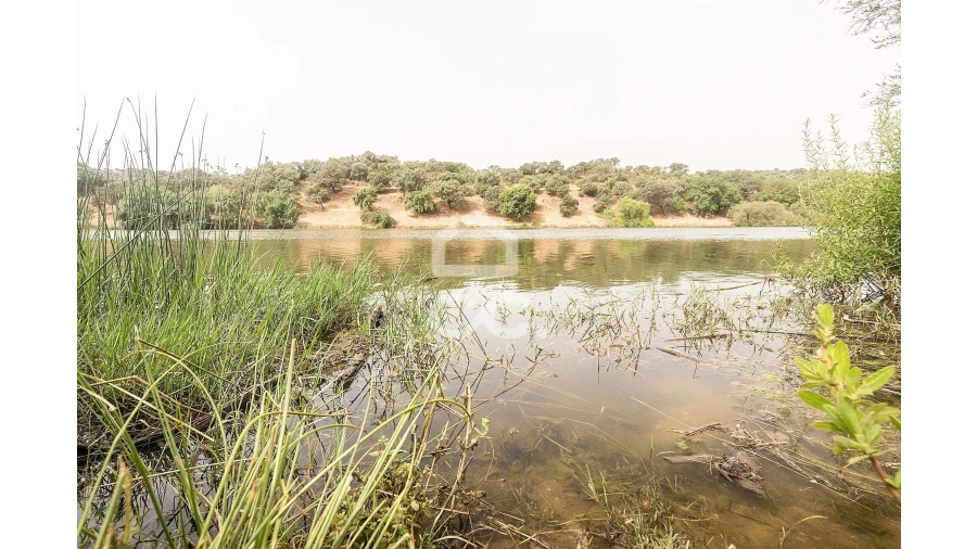 Quinta T4 para Venda em Serpa (Salvador e Santa Maria) Foto 37