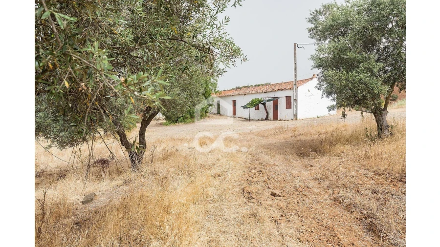 Quinta T4 para Venda em Serpa (Salvador e Santa Maria) Foto 7