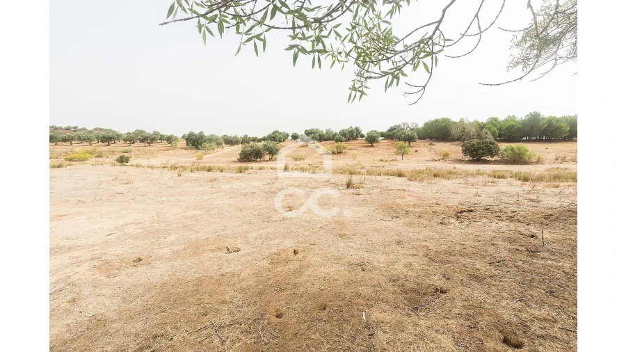 Quinta T4 para Venda em Serpa (Salvador e Santa Maria) Foto 38
