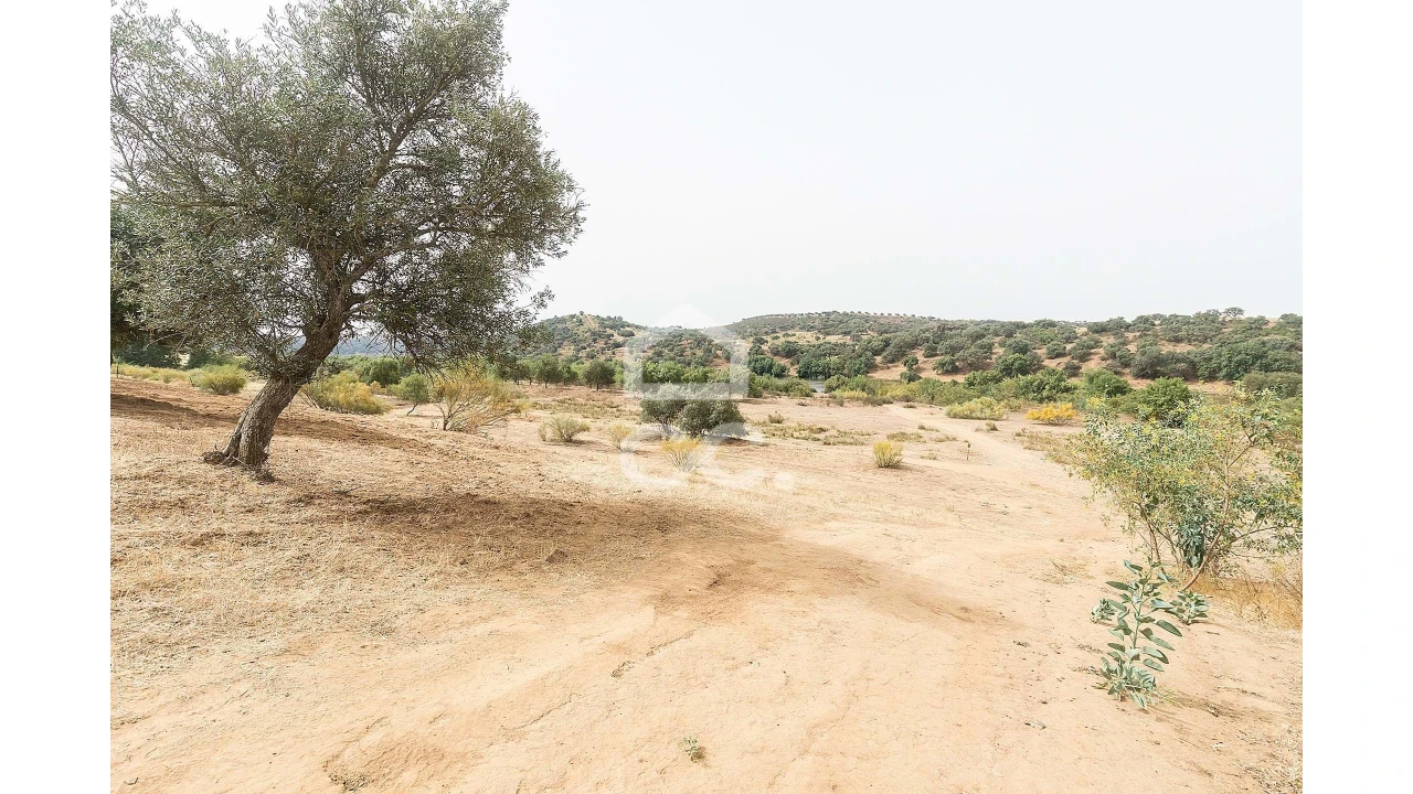 Quinta T4 para Venda em Serpa (Salvador e Santa Maria) Foto 32