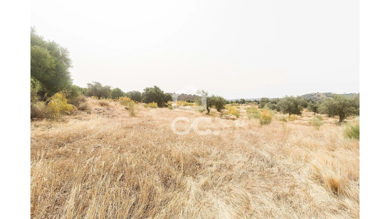 Quinta T4 para Venda em Serpa (Salvador e Santa Maria) Foto 26