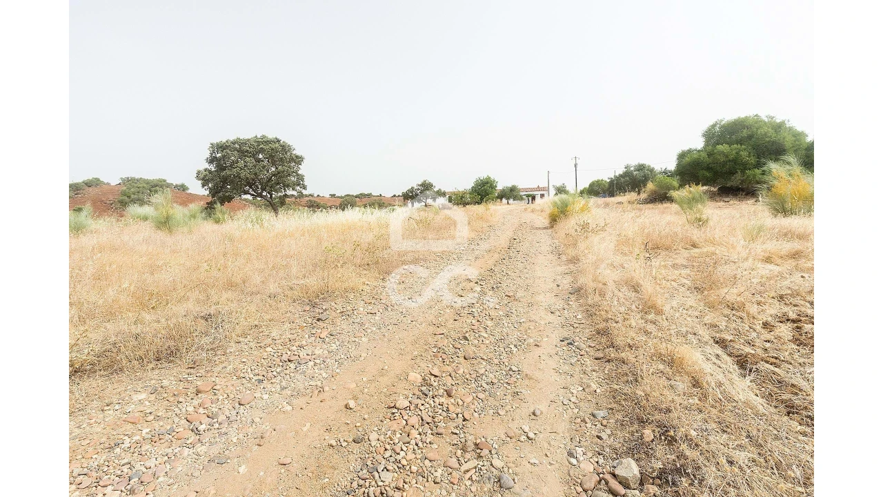 Quinta T4 para Venda em Serpa (Salvador e Santa Maria) Foto 28