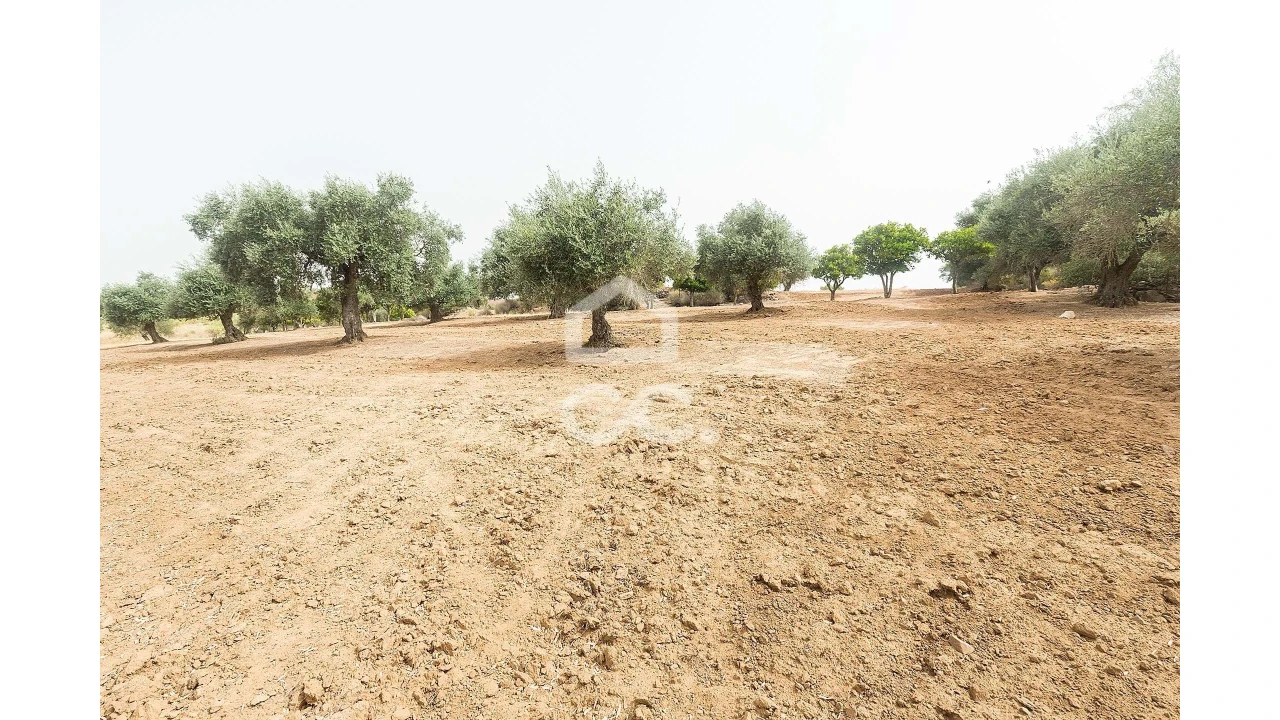Quinta T4 para Venda em Serpa (Salvador e Santa Maria) Foto 41