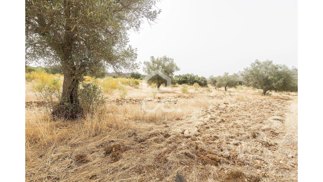 Quinta T4 para Venda em Serpa (Salvador e Santa Maria) Foto 27