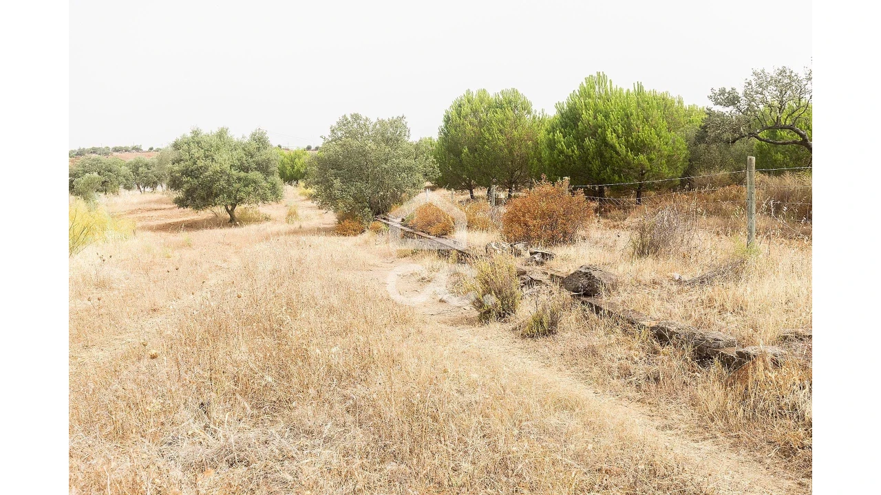 Quinta T4 para Venda em Serpa (Salvador e Santa Maria) Foto 48