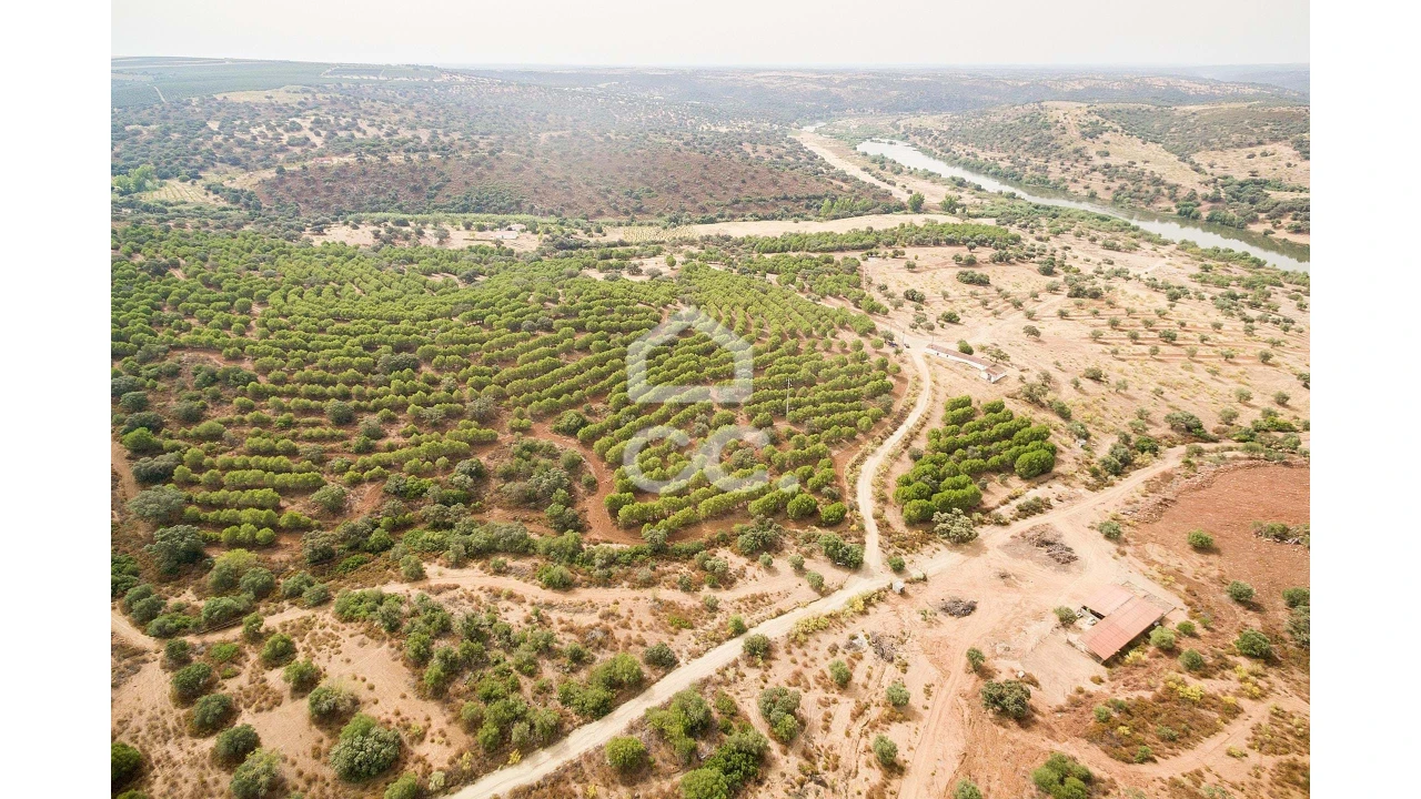 Quinta T4 para Venda em Serpa (Salvador e Santa Maria) Foto 51