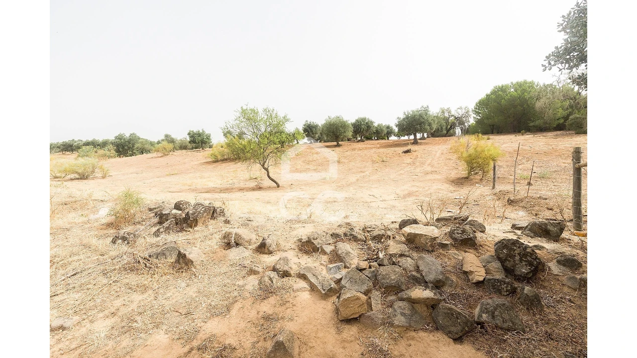Quinta T4 para Venda em Serpa (Salvador e Santa Maria) Foto 40