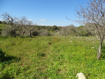 Terreno para Venda em Lagos (São Sebastião e Santa Maria)