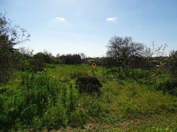 Terreno para Venda em Lagos (São Sebastião e Santa Maria)