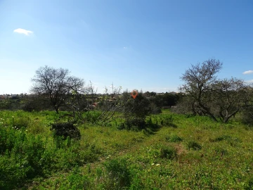 Terreno para Venda em Lagos (São Sebastião e Santa Maria)