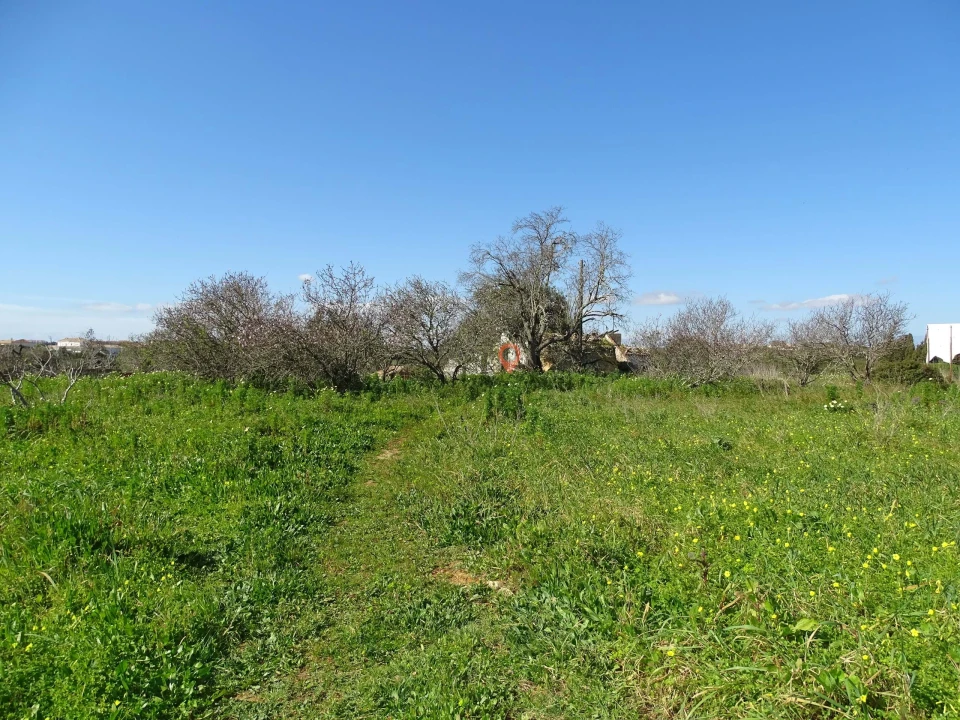 Terreno para Venda em Lagos (São Sebastião e Santa Maria) Foto 2