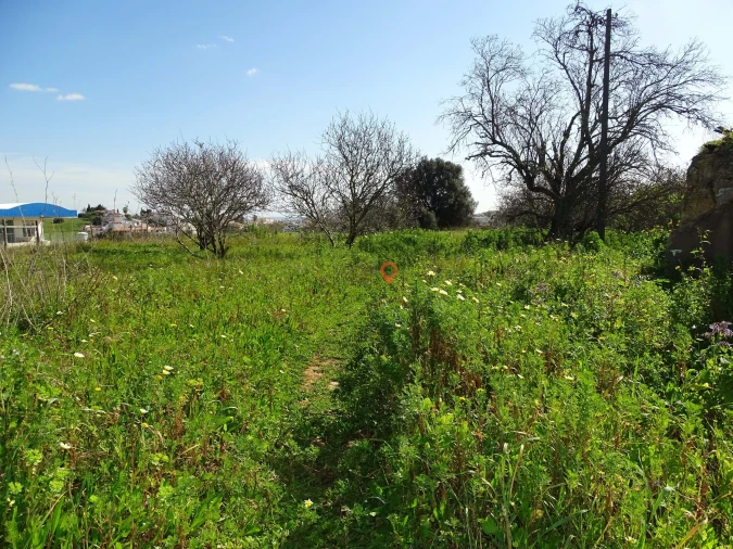 Terreno para Venda em Lagos (São Sebastião e Santa Maria) Foto 10