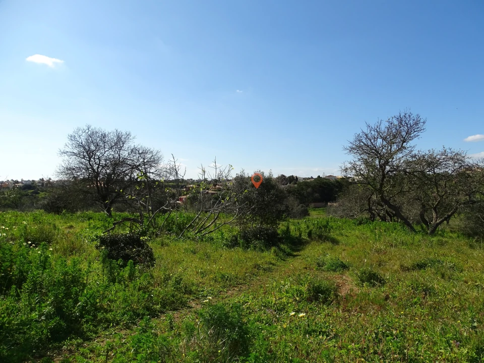 Terreno para Venda em Lagos (São Sebastião e Santa Maria) Foto 7