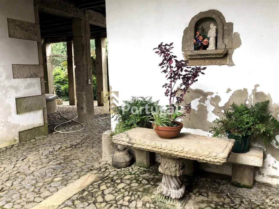 Quinta T15 para Venda em Real, Dume e Semelhe Foto 4