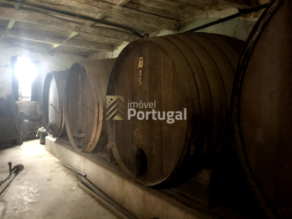 Quinta T15 para Venda em Real, Dume e Semelhe Foto 1