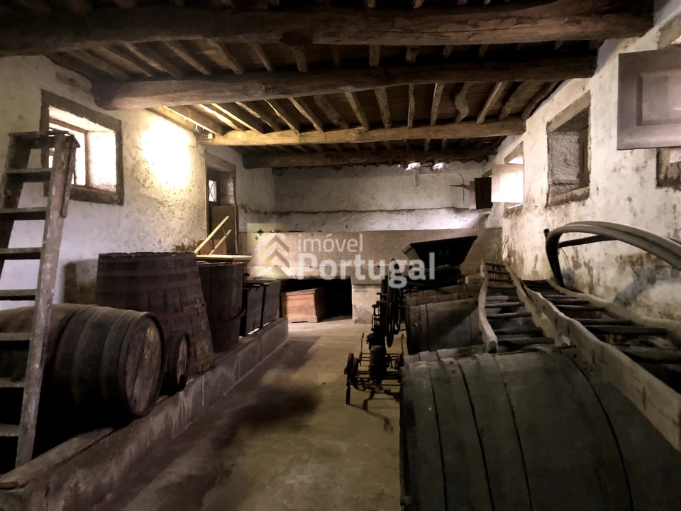 Quinta T15 para Venda em Real, Dume e Semelhe Foto 7