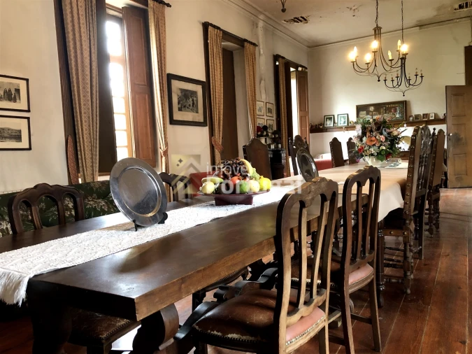 Quinta T15 para Venda em Real, Dume e Semelhe Foto 21