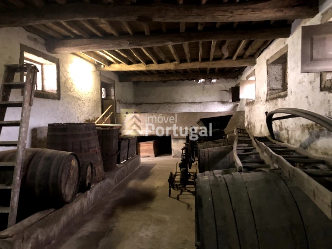 Quinta T15 para Venda em Real, Dume e Semelhe Foto 7