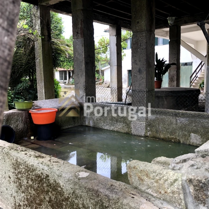 Quinta T15 para Venda em Real, Dume e Semelhe Foto 8