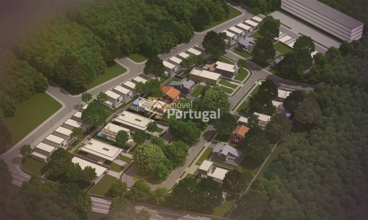 Terreno para Venda em Palmeira Foto 2