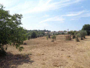Terreno para Venda em Viseu