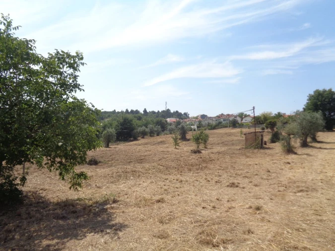 Terreno para Venda em Viseu Foto 7