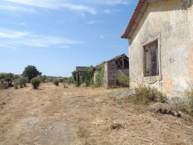 Terreno para Venda em Viseu Foto 5