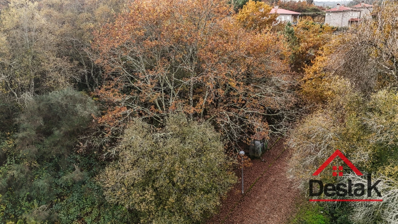 Terreno para Venda em São Pedro do Sul, Várzea e Baiões Foto 11