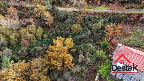 Terreno para Venda em São Pedro do Sul, Várzea e Baiões