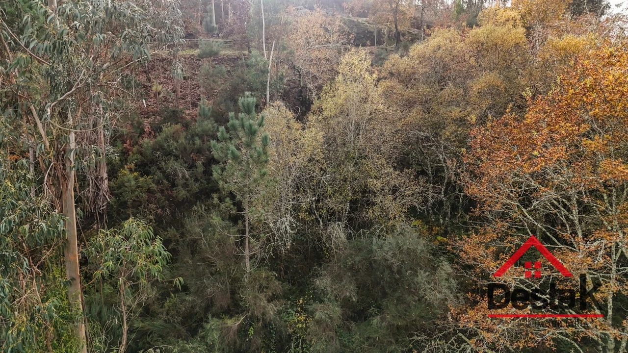 Terreno para Venda em São Pedro do Sul, Várzea e Baiões Foto 5