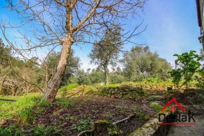 Terreno para Venda em São Pedro de France