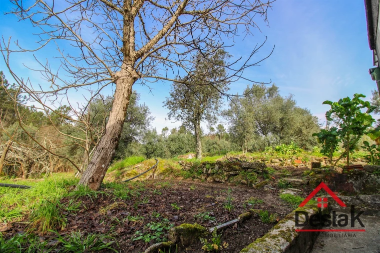 Terreno para Venda em São Pedro de France Foto 2
