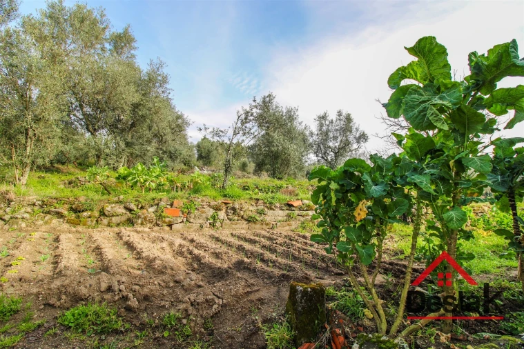 Terreno para Venda em São Pedro de France Foto 4
