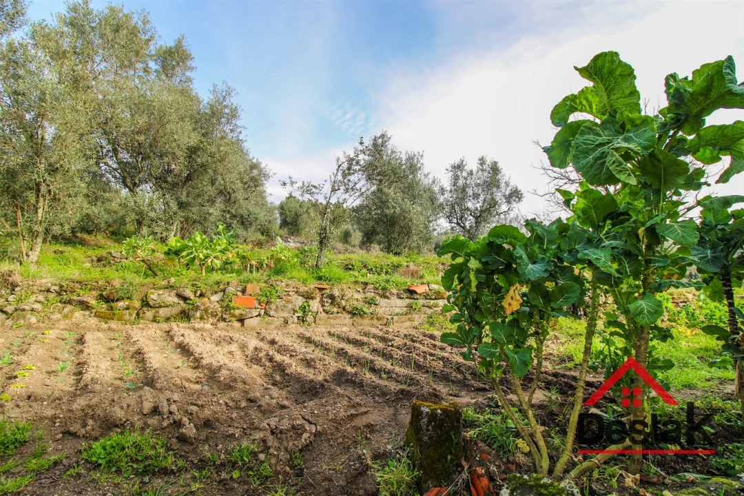 Terreno para Venda em São Pedro de France Foto 4