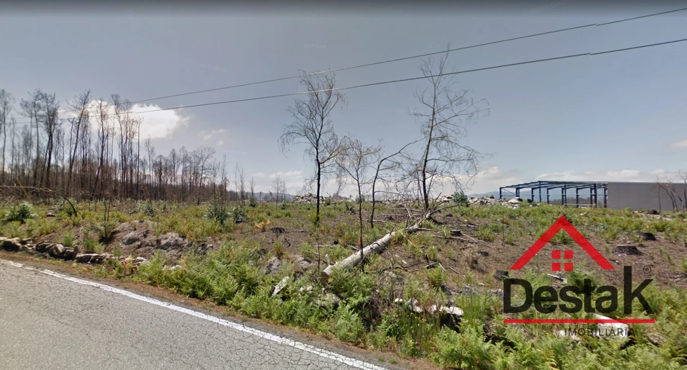 Terreno para Venda em Campia Foto 2