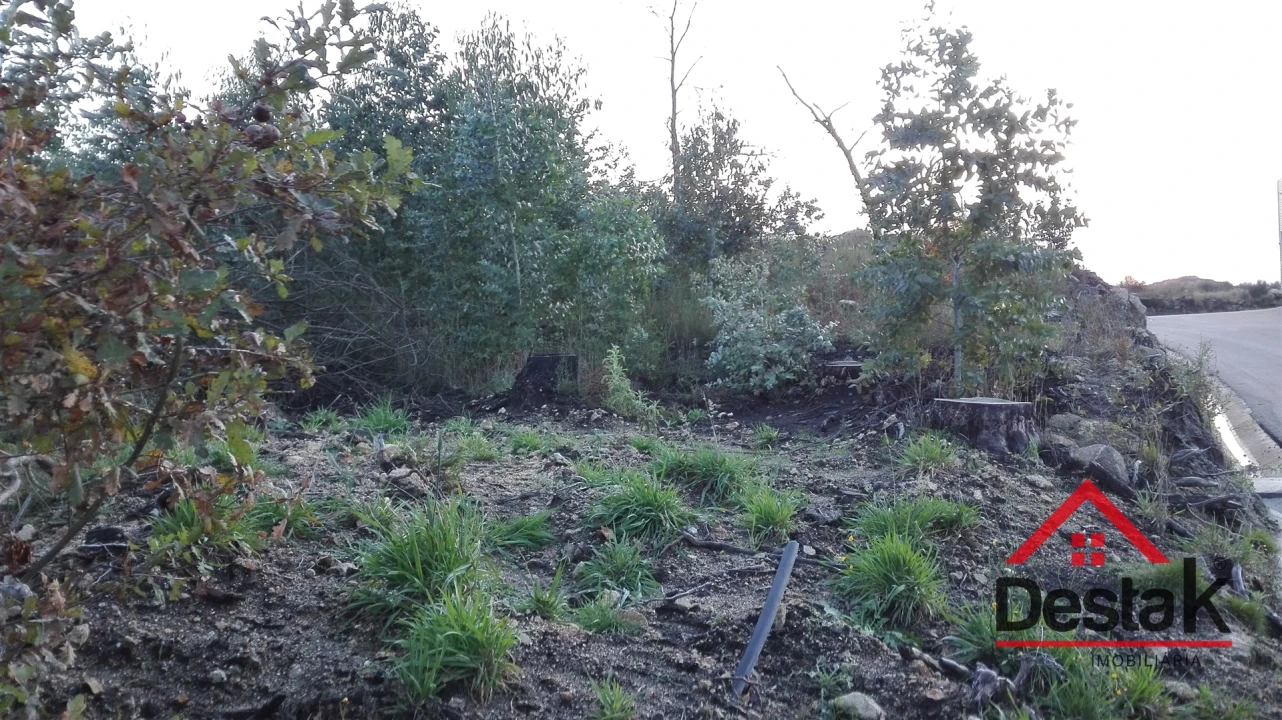 Terreno para Venda em Campia Foto 7