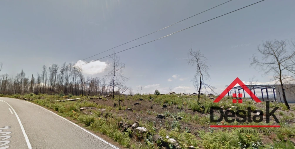 Terreno para Venda em Campia Foto 3