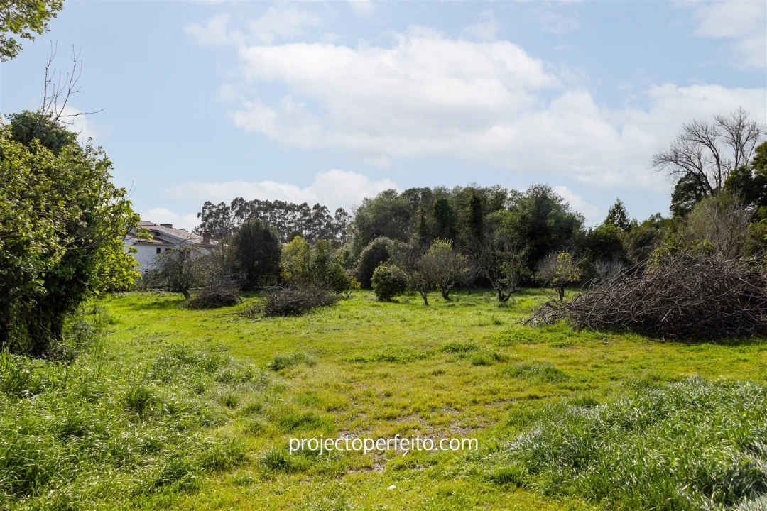 Moradia T4 para Venda em Cortegaça Foto 3