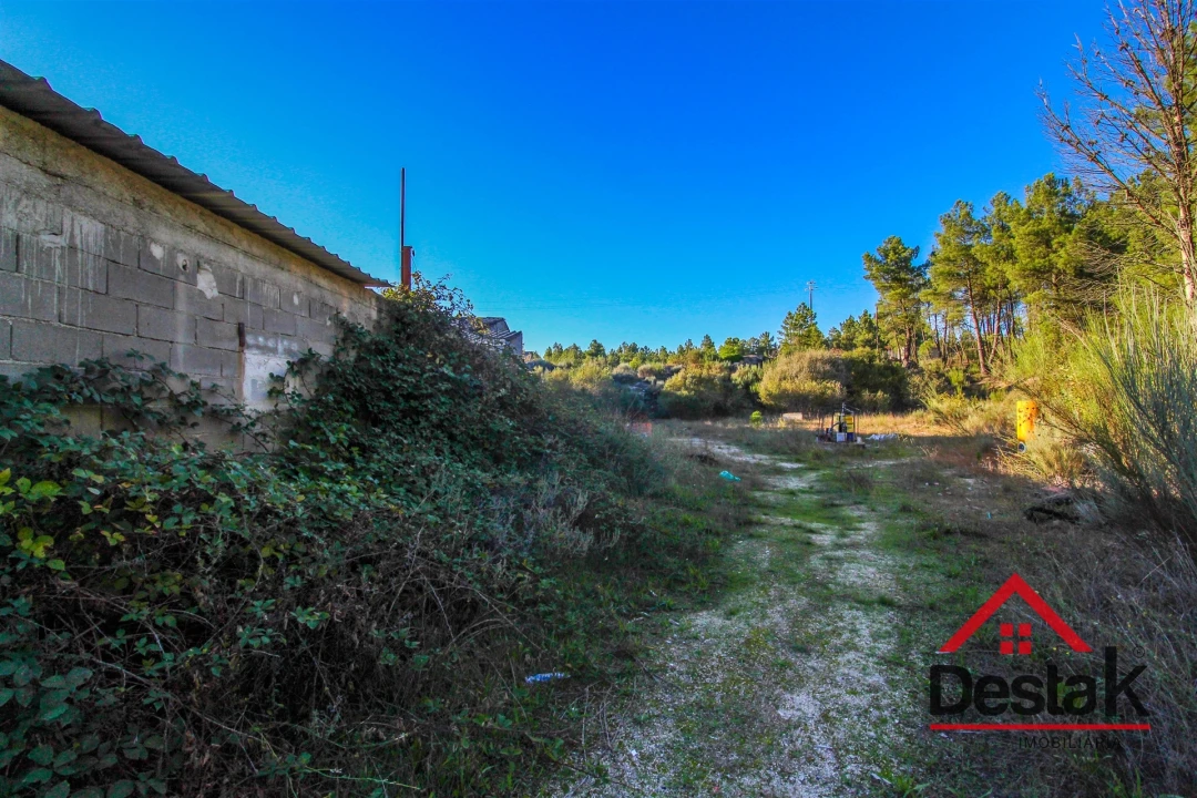 Armazém para Venda em Sernancelhe e Sarzeda Foto 8