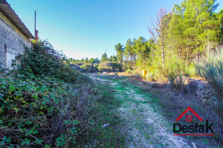 Armazém para Venda em Sernancelhe e Sarzeda Foto 9