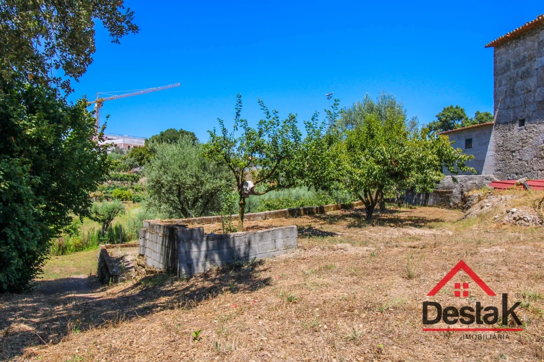 Terreno Agricola ou Rústico para Venda em Lajeosa do Dão Foto 8