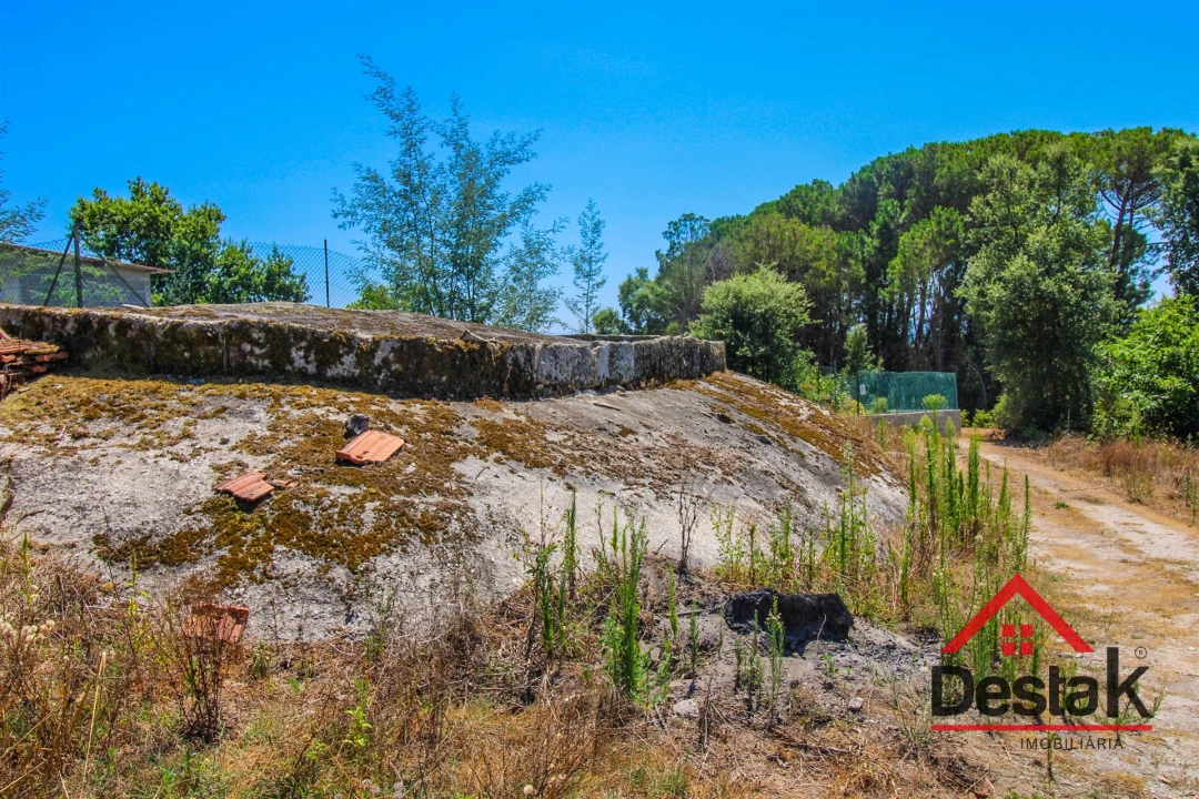 Terreno Agricola ou Rústico para Venda em Lajeosa do Dão Foto 14