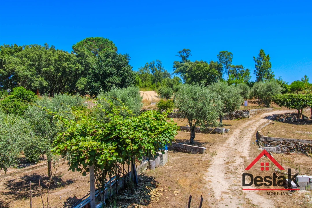 Terreno Agricola ou Rústico para Venda em Lajeosa do Dão Foto 11