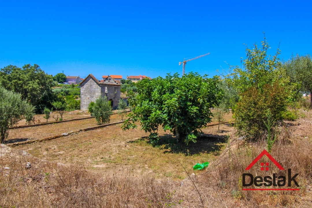 Terreno Agricola ou Rústico para Venda em Lajeosa do Dão Foto 15